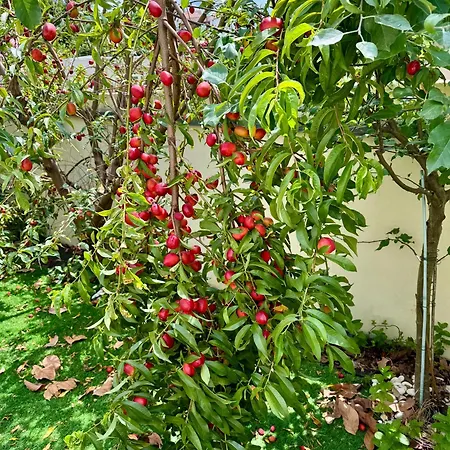 Апартаменты The Well Apartment, Sao Vicente 86